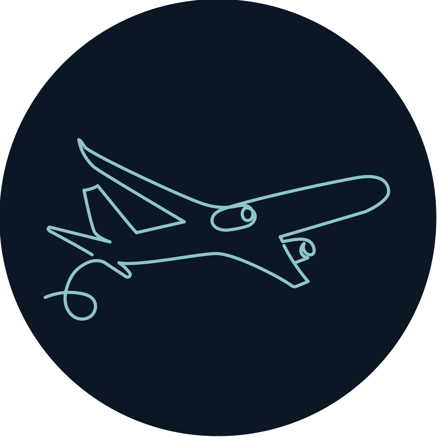 Airplane graphic icon