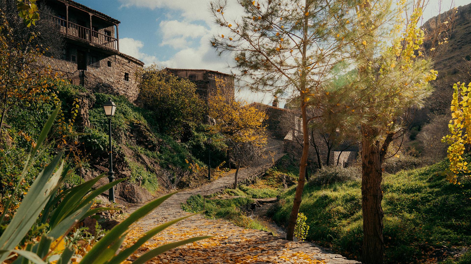 Rural village in Madrid