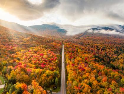 Scenic aerial view of forest in fall colors with road leading through mountains