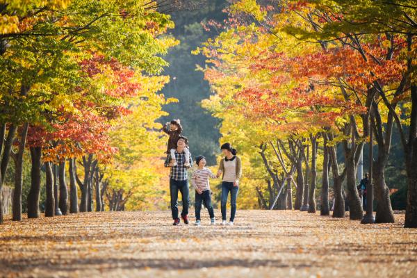 Family enjoying a fall getaway surrounded by colorful autumn trees.