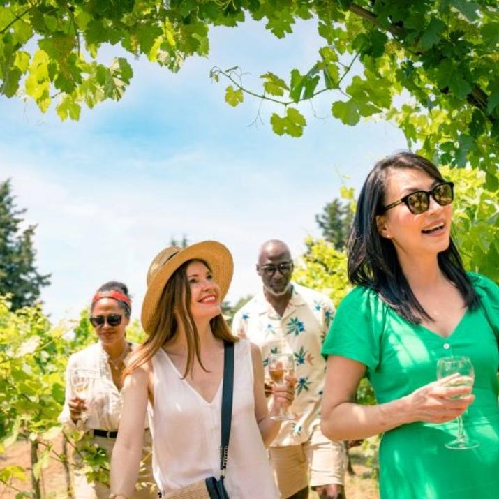 Group of people walking through a vineyard holding wine glasses on a sunny day.