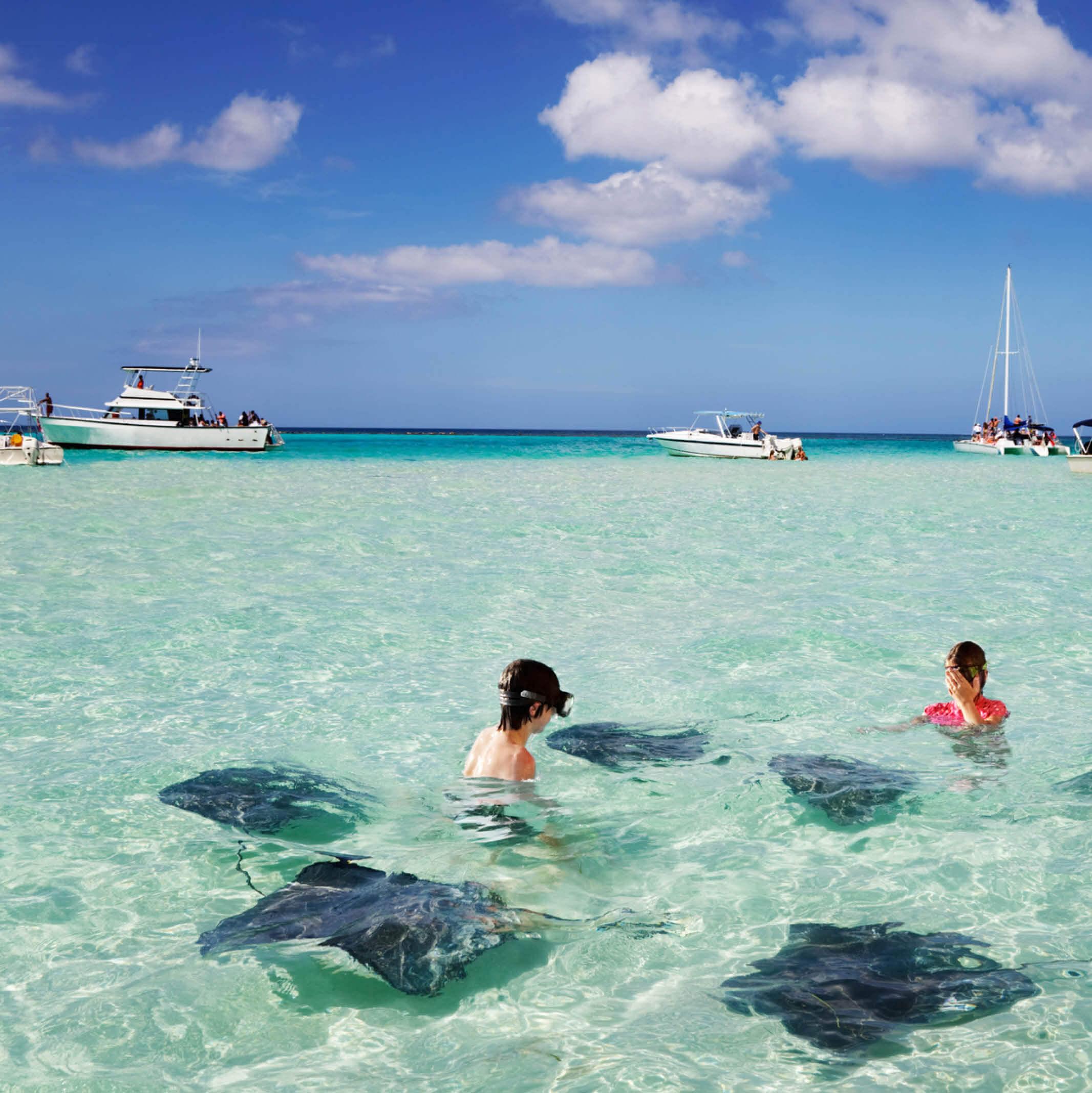 Swimming in clear waters with stingrays at Stingray City