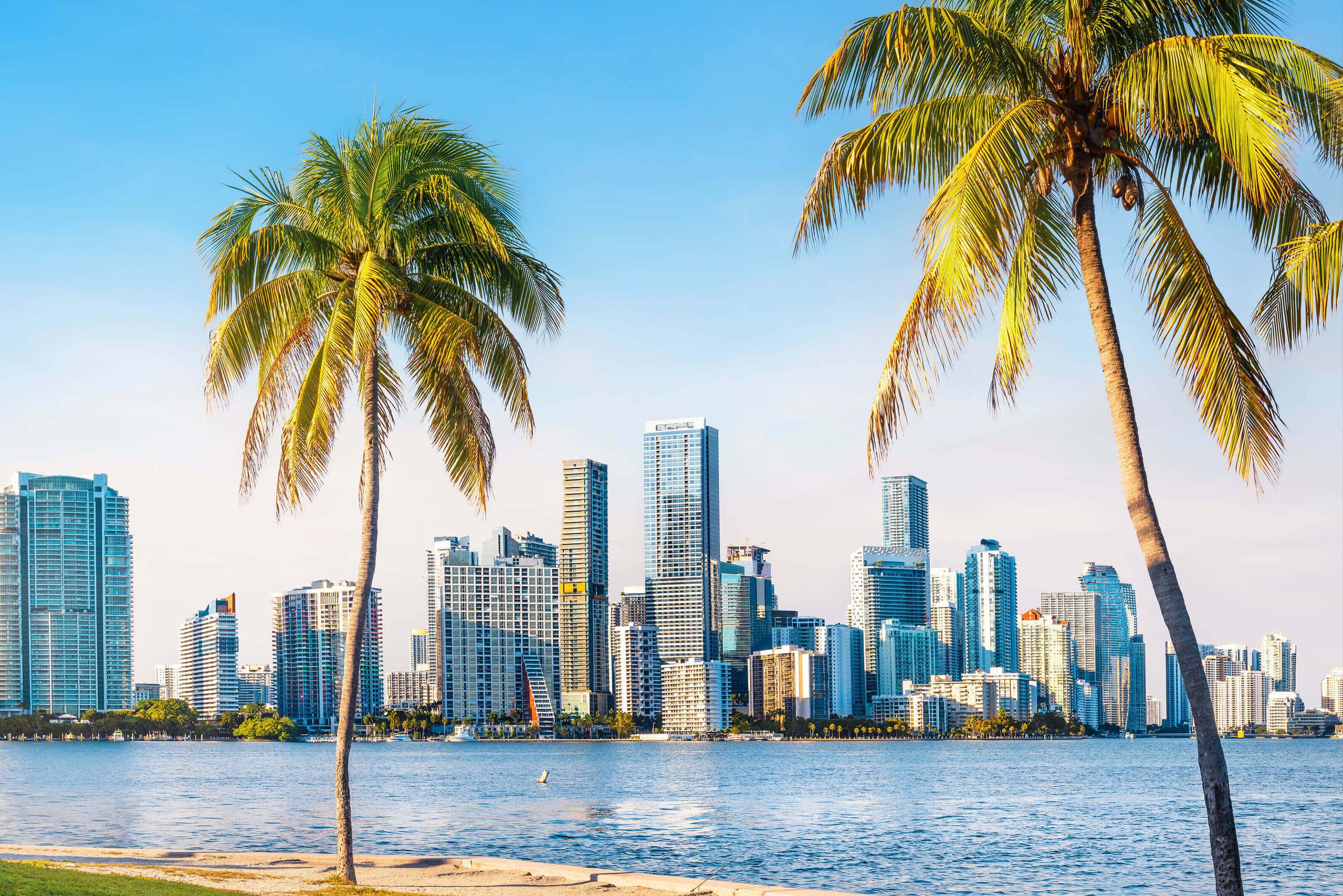 Miami skyline with palm trees in the foreground and a sandy beach along the coast