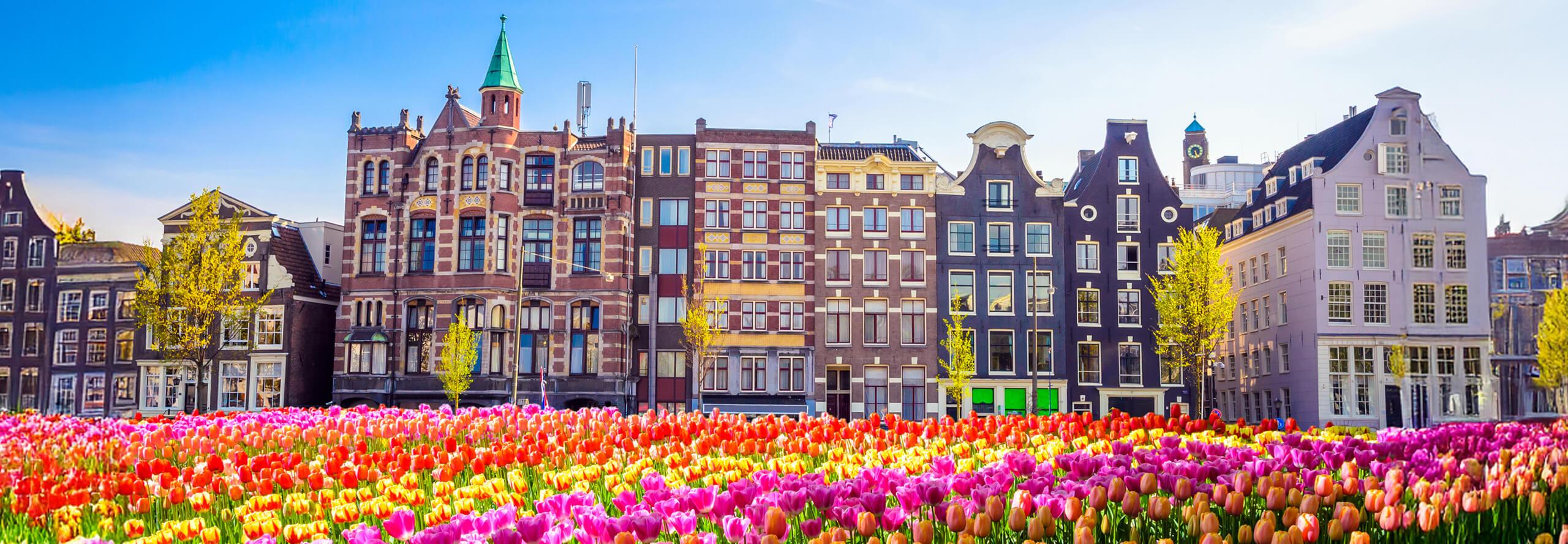 A plethora of colorful flowers in the foreground in front of a quaint row of buildings in the Netherlands