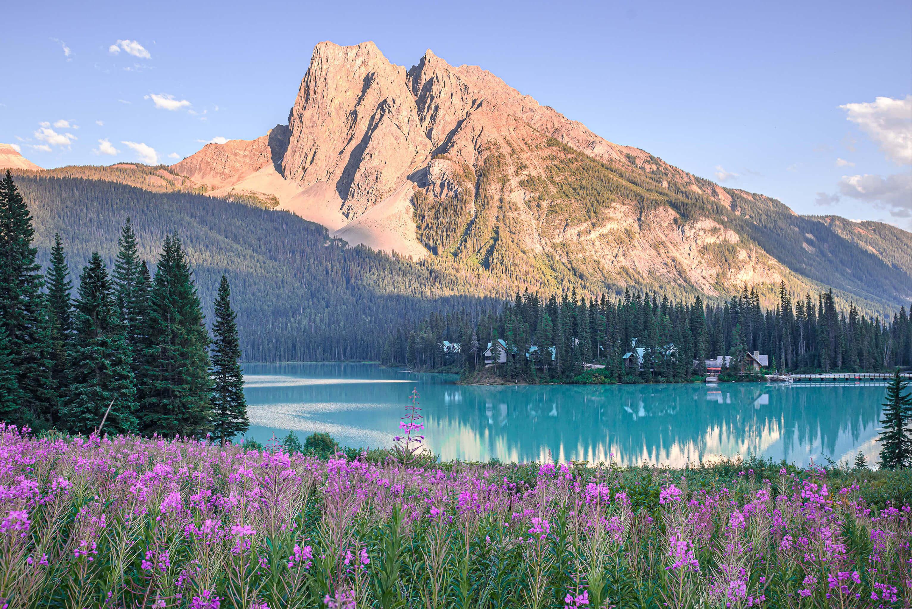 Azure lake with pink flowers in foreground, a towering mountain in the distance embodying the grandeur of North America