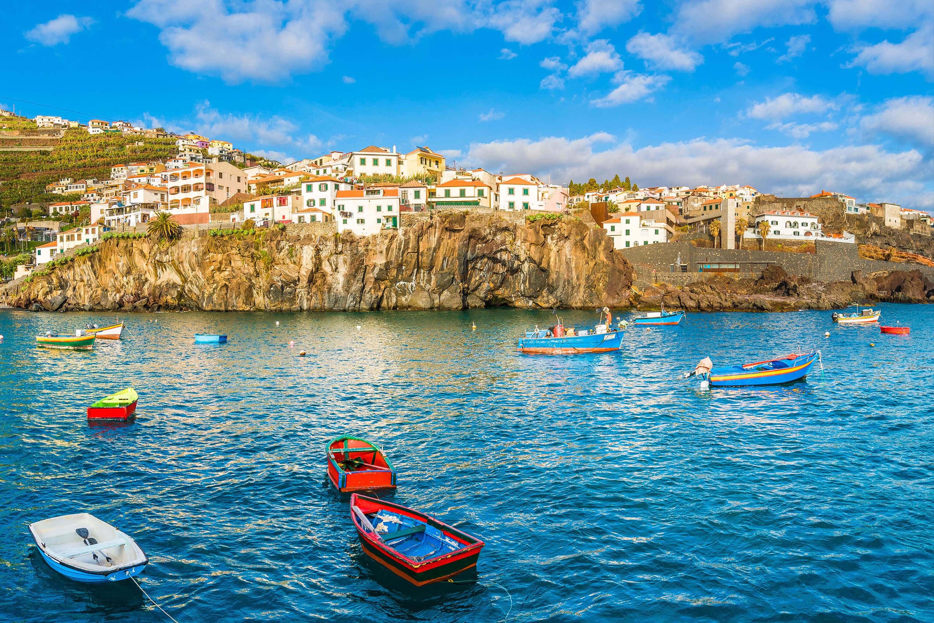 A tranquil body of water in Portugal bustling with numerous boats, surrounded by lush greenery and a bright sky