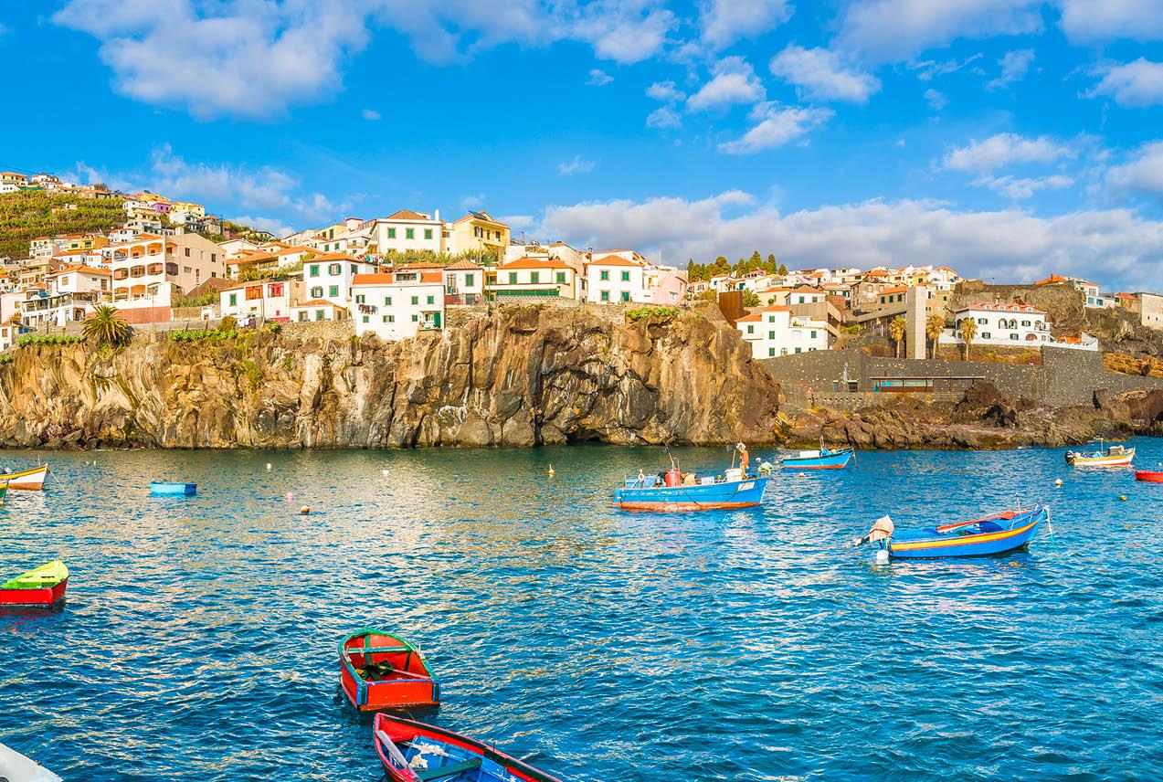 A tranquil body of water in Portugal bustling with numerous boats, surrounded by lush greenery and a bright sky