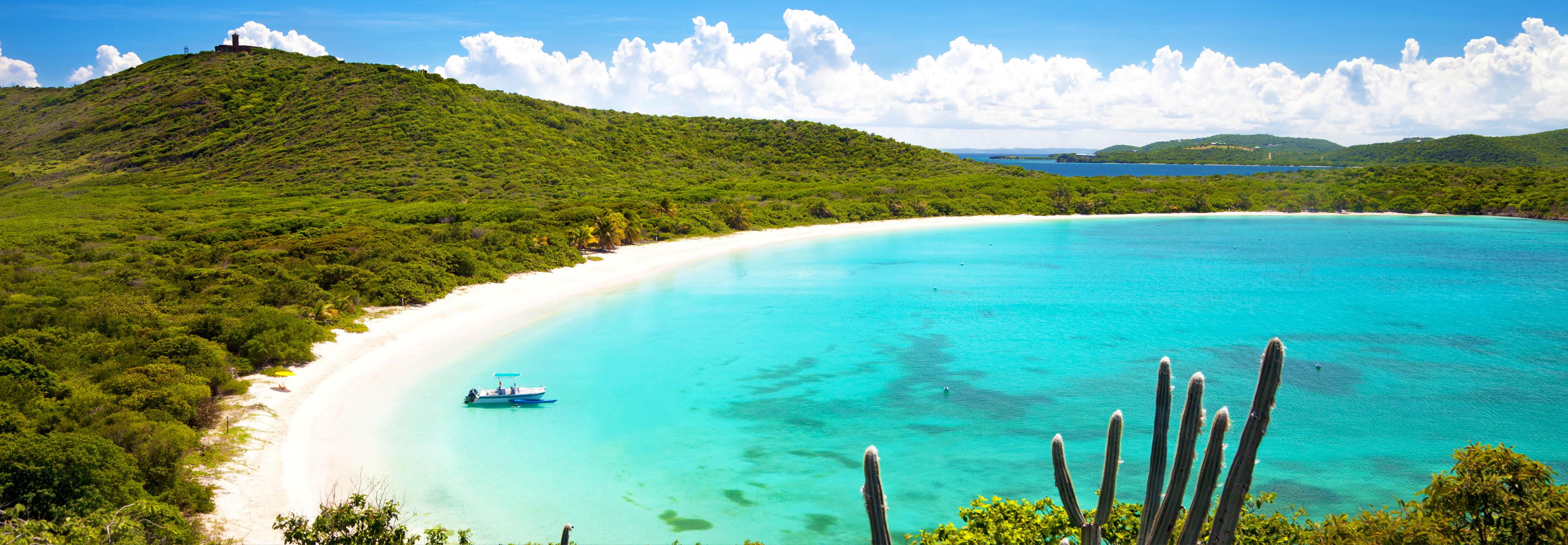 Bright, sunny beach with crystal clear water and lush greenery surrounding in Puerto Rico