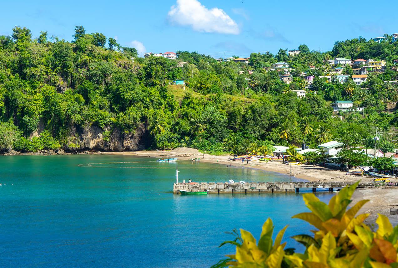 Lush landscape and serene water of St. Lucia, with a dock in the middle distance