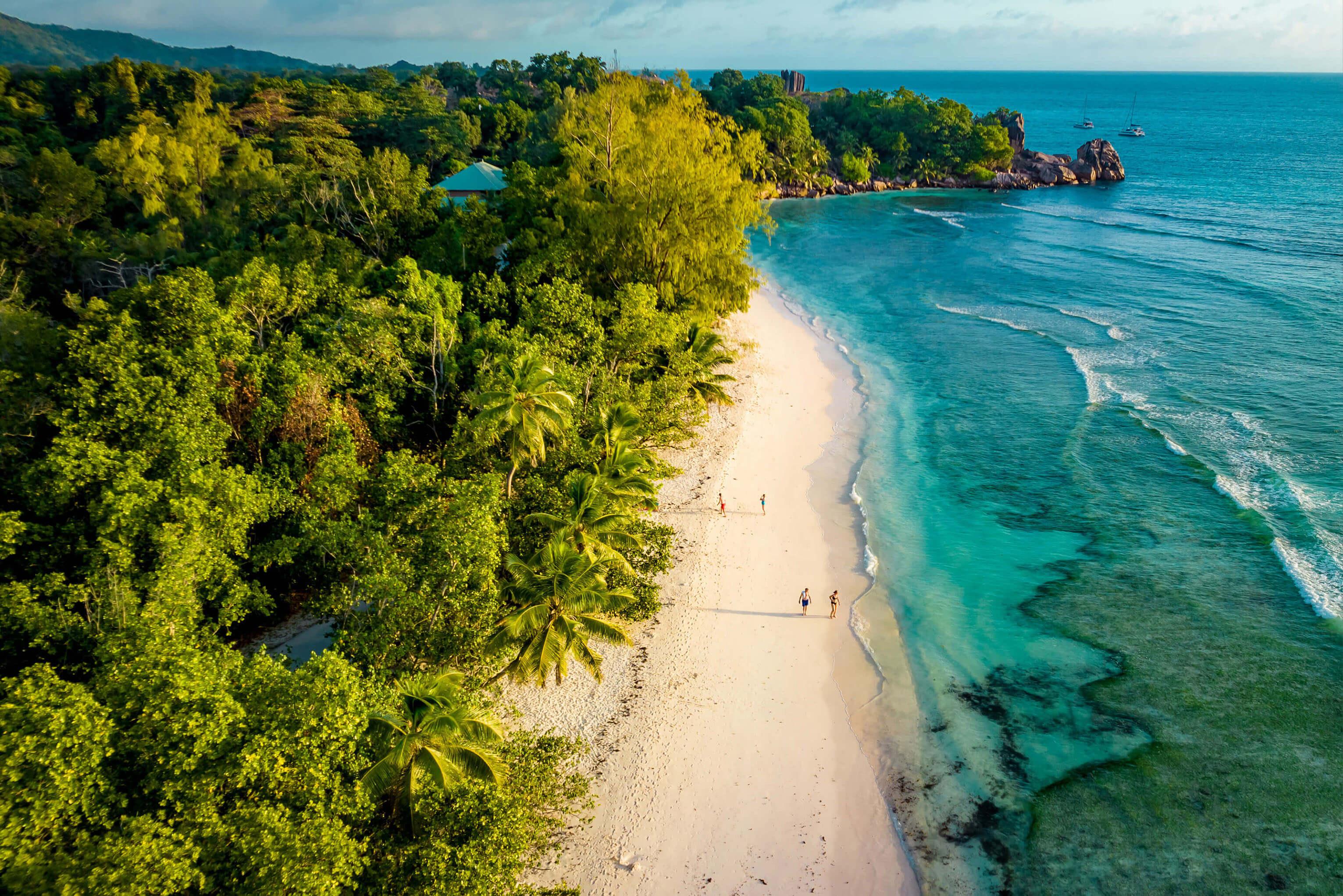 Sunny quiet coastline in the Seychelles with lush greenery jutted up against the beach and clear ocean water