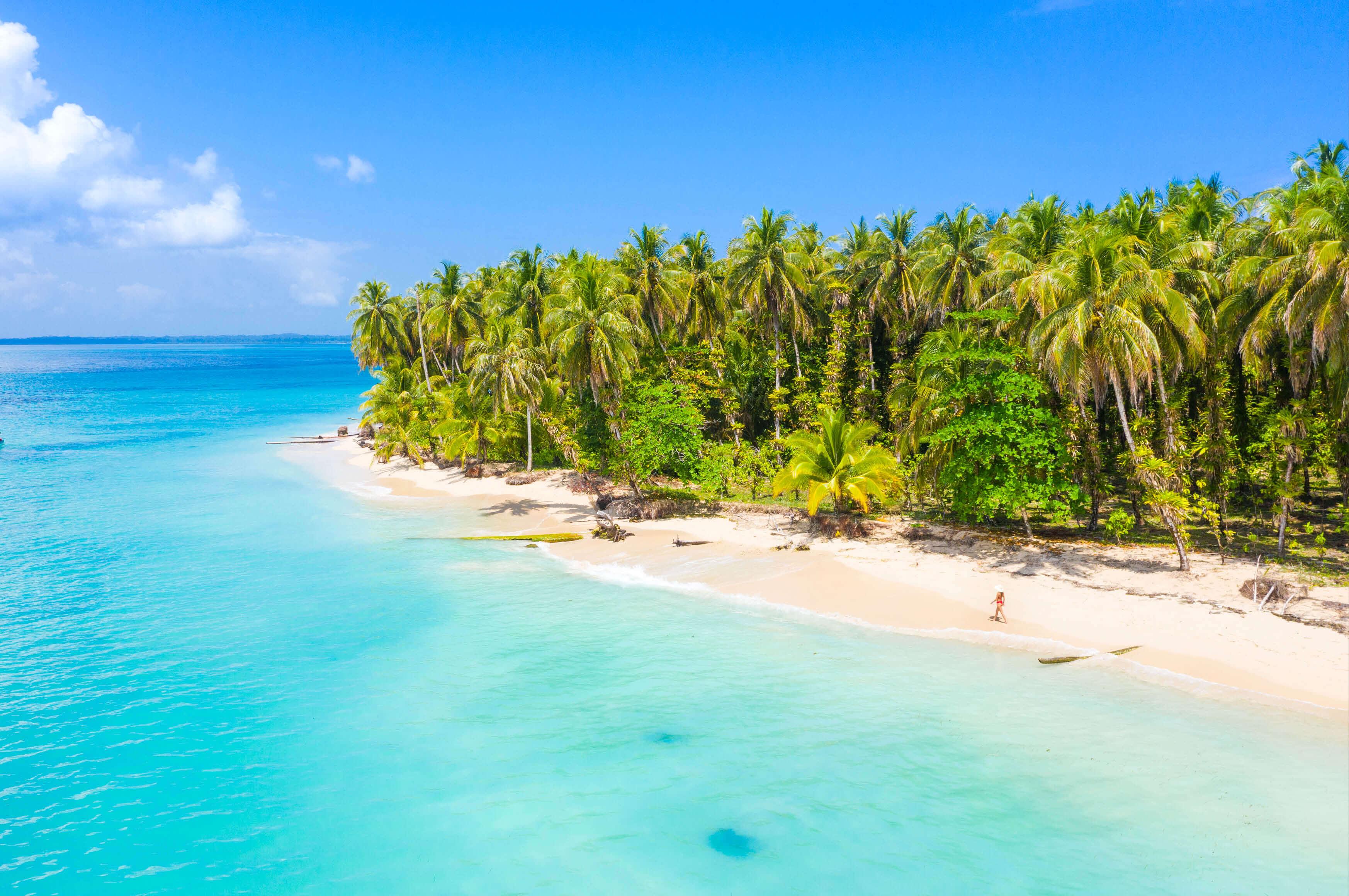  A coastal tropical shoreline