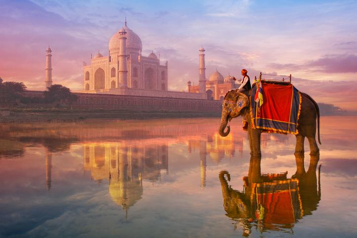 An elephant with a rider and the Taj Mahal reflected in water at sunset.